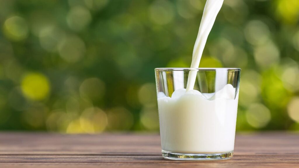 Best Healthy Foods to Gain Weight Fast - Milk